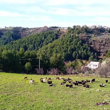 Appartamento Casa Pizzarelli Vico Del Gargano