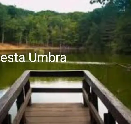 Апартаменты Casa Pizzarelli *