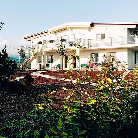 Casa Pizzarelli * Vico Del Gargano