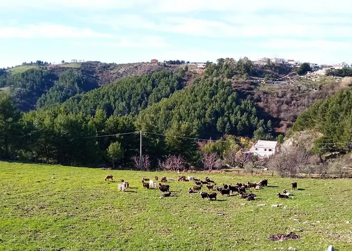 Apartamento Casa Pizzarelli Vico Del Gargano